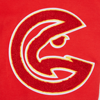 NBA ATLANTA HAWKS CLASSIC CHENILLE MEN'S DK SHORT (RED)