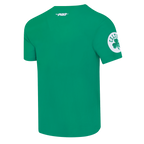 NBA BOSTON CELTICS RETRO ELEVATION T-SHIRT EN JERSEY SIMPLE POUR HOMME (VERT KELLY)