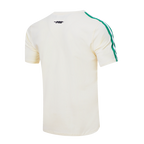 NBA BOSTON CELTICS RETRO CLASSIC T-SHIRT À RAYURES POUR HOMME (COQUILLE D'ŒUF/VERT KELLY)