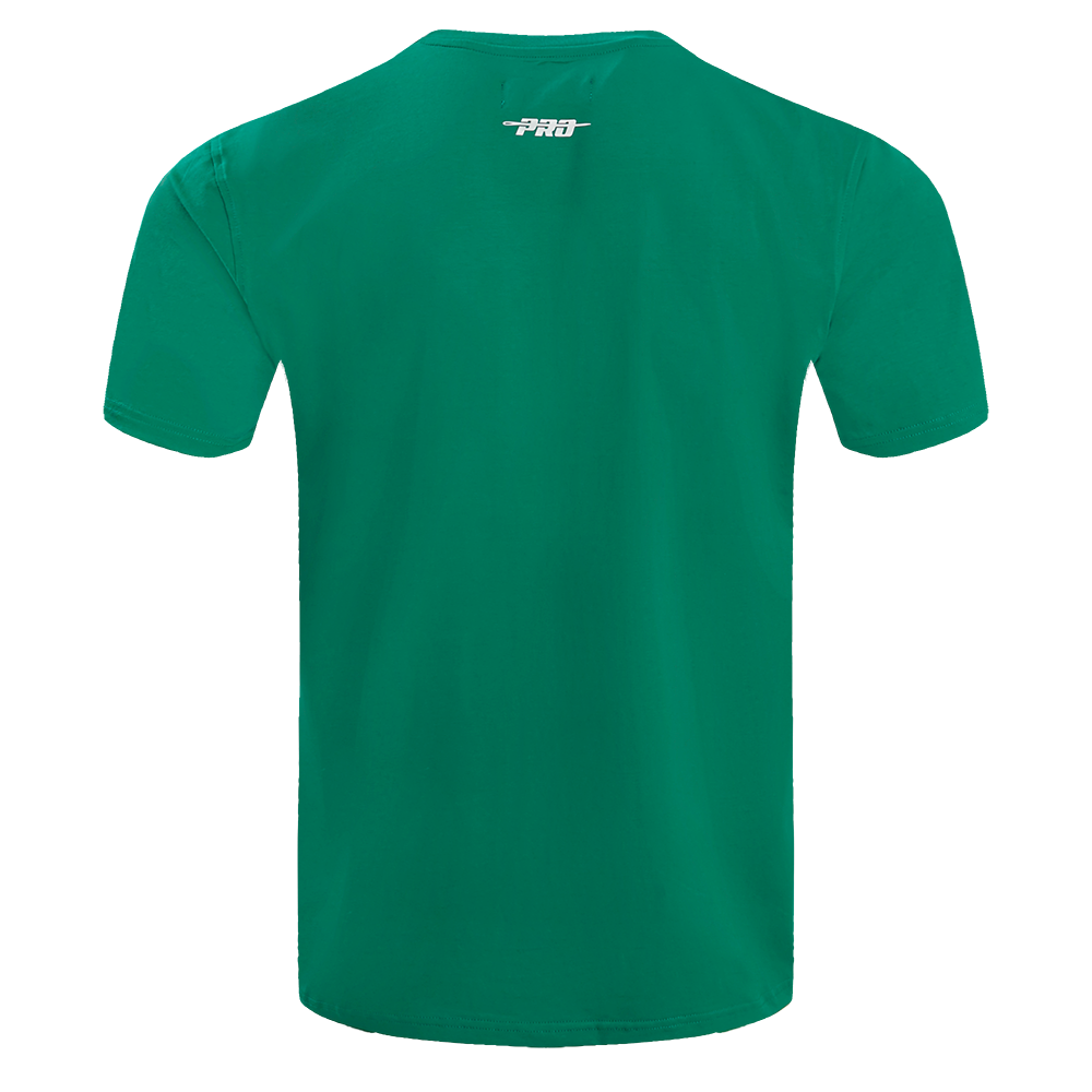 NBA BOSTON CELTICS RETRO CLASSIC T-SHIRT À RAYURES POUR HOMME (VERT KELLY)
