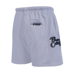 NBA BOSTON CELTICS SOUVENIR MEN'S MESH SHORT (GRAY)