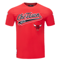 NBA CHICAGO BULLS SCRIPT TAIL MEN'S   TEE (RED)