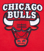 NBA CHICAGO BULLS SCRIPT TAIL MEN'S   TEE (RED)