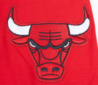 NBA CHICAGO BULLS SCRIPT TAIL MEN'S   TEE (RED)