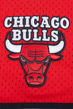 NBA CHICAGO BULLS SCRIPT TAIL CHEMISE BOUTONNÉE EN FILET POUR HOMME (ROUGE/NOIR)