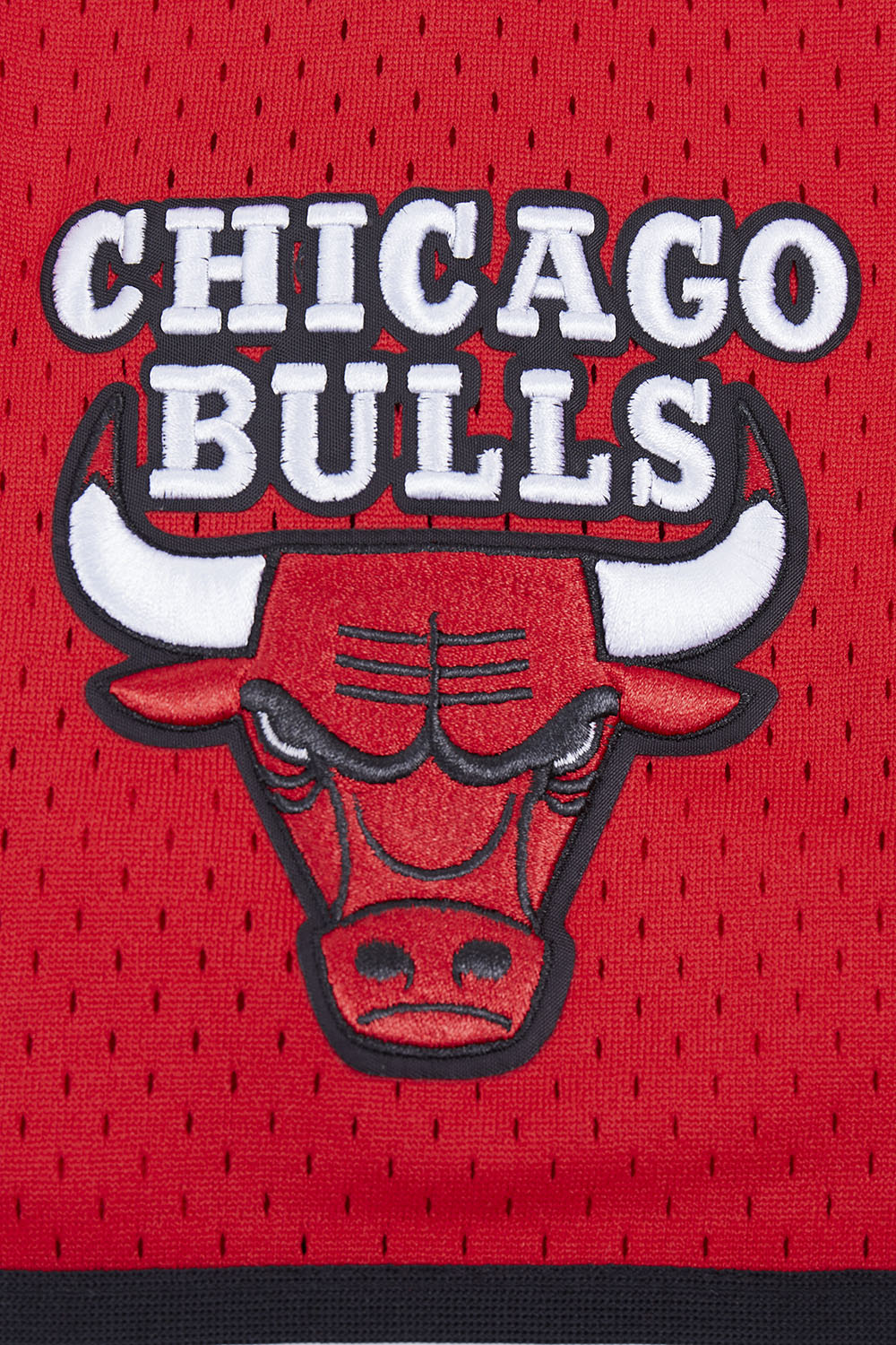 NBA CHICAGO BULLS SCRIPT TAIL CHEMISE BOUTONNÉE EN FILET POUR HOMME (ROUGE/NOIR)