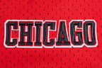 NBA CHICAGO BULLS SCRIPT TAIL CHEMISE BOUTONNÉE EN FILET POUR HOMME (ROUGE/NOIR)
