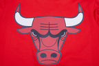 NBA CHICAGO BULLS SCRIPT TAIL CHEMISE BOUTONNÉE EN FILET POUR HOMME (ROUGE/NOIR)