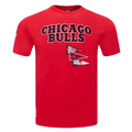 NBA CHICAGO BULLS TEAM PENNANTS T-SHIRT À LOGOTYPE POUR HOMME (ROUGE)