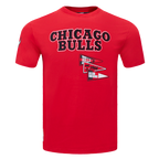 NBA CHICAGO BULLS TEAM PENNANTS T-SHIRT À LOGOTYPE POUR HOMME (ROUGE)