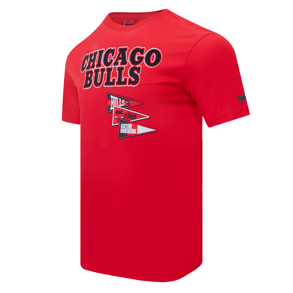 NBA CHICAGO BULLS TEAM PENNANTS T-SHIRT À LOGOTYPE POUR HOMME (ROUGE)
