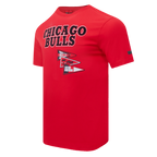 NBA CHICAGO BULLS TEAM PENNANTS T-SHIRT À LOGOTYPE POUR HOMME (ROUGE)