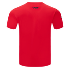 NBA CHICAGO BULLS TEAM PENNANTS T-SHIRT À LOGOTYPE POUR HOMME (ROUGE)