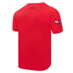 NBA CHICAGO BULLS TEAM PENNANTS T-SHIRT À LOGOTYPE POUR HOMME (ROUGE)