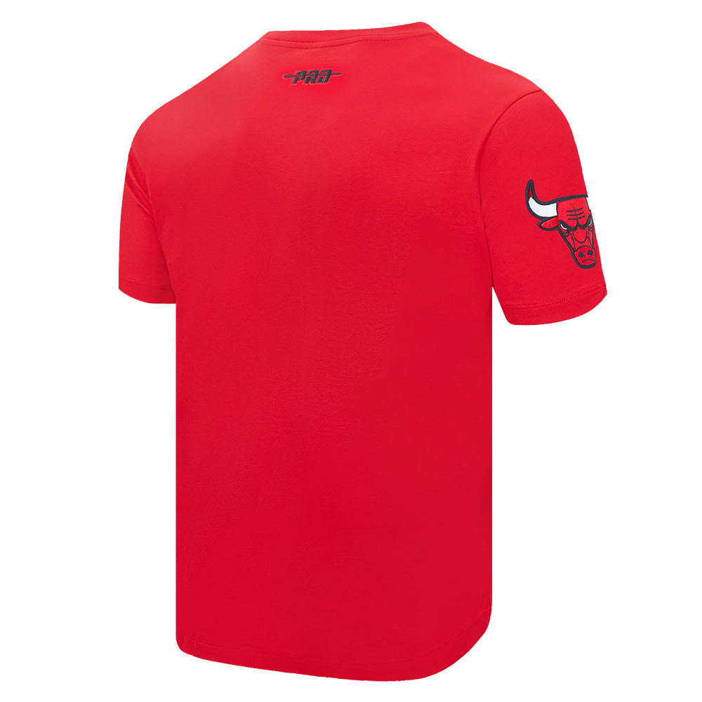 NBA CHICAGO BULLS TEAM PENNANTS T-SHIRT À LOGOTYPE POUR HOMME (ROUGE)