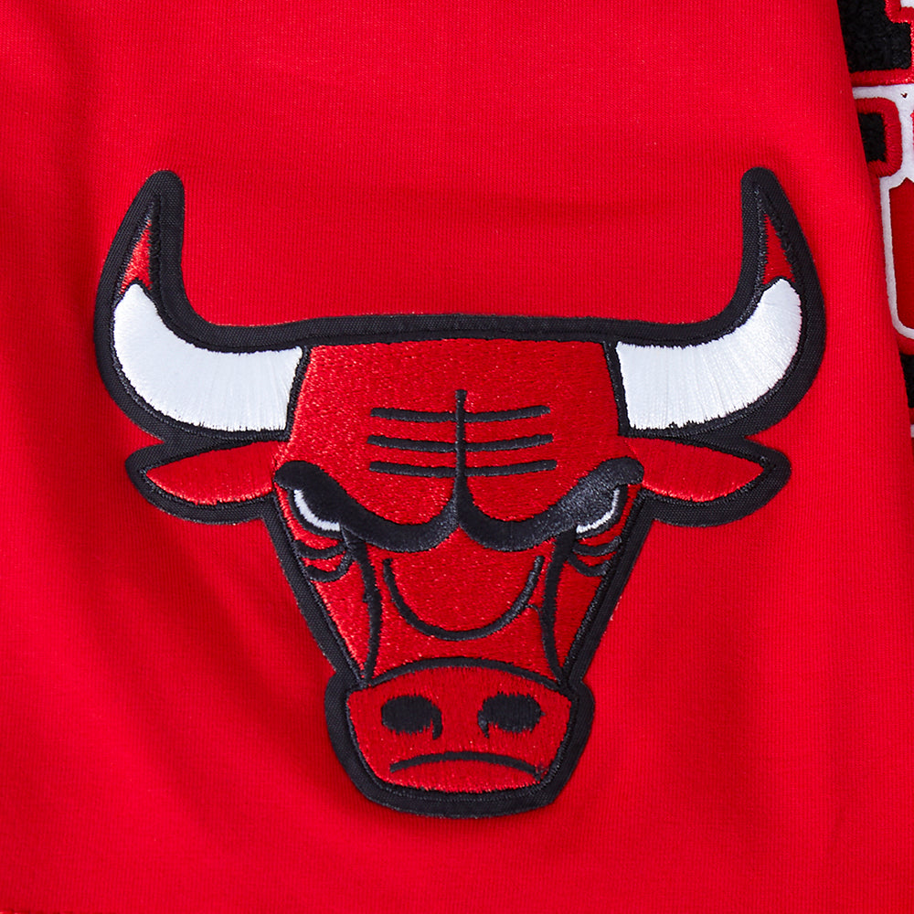 NBA CHICAGO BULLS TEAM PENNANTS T-SHIRT À LOGOTYPE POUR HOMME (ROUGE)