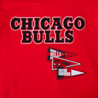 NBA CHICAGO BULLS TEAM PENNANTS T-SHIRT À LOGOTYPE POUR HOMME (ROUGE)