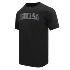 NBA CHICAGO BULLS ECHO LOGO T-SHIRT EN JERSEY SIMPLE POUR HOMME (NOIR)