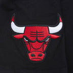 NBA CHICAGO BULLS ECHO LOGO T-SHIRT EN JERSEY SIMPLE POUR HOMME (NOIR)