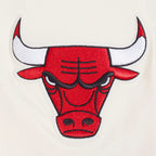 NBA CHICAGO BULLS ECHO LOGO MEN'S SINGLE JERSEY TEE (EGGSHELL)