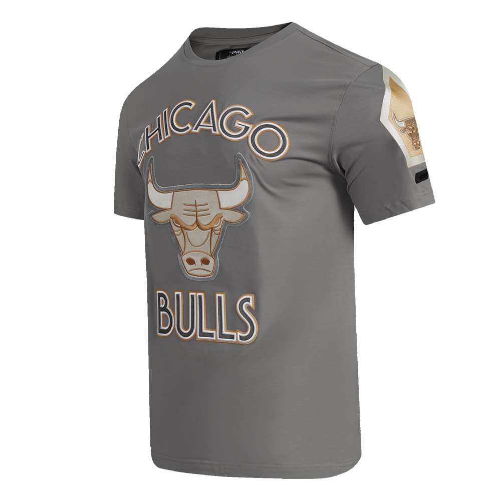 NBA CHICAGO BULLS CITY EDITION 24-25 MEN'S   TEE (GRAY)
