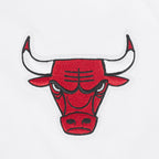 NBA CHICAGO BULLS CLASSIC ICON MEN'S SHIRT (WHITE)