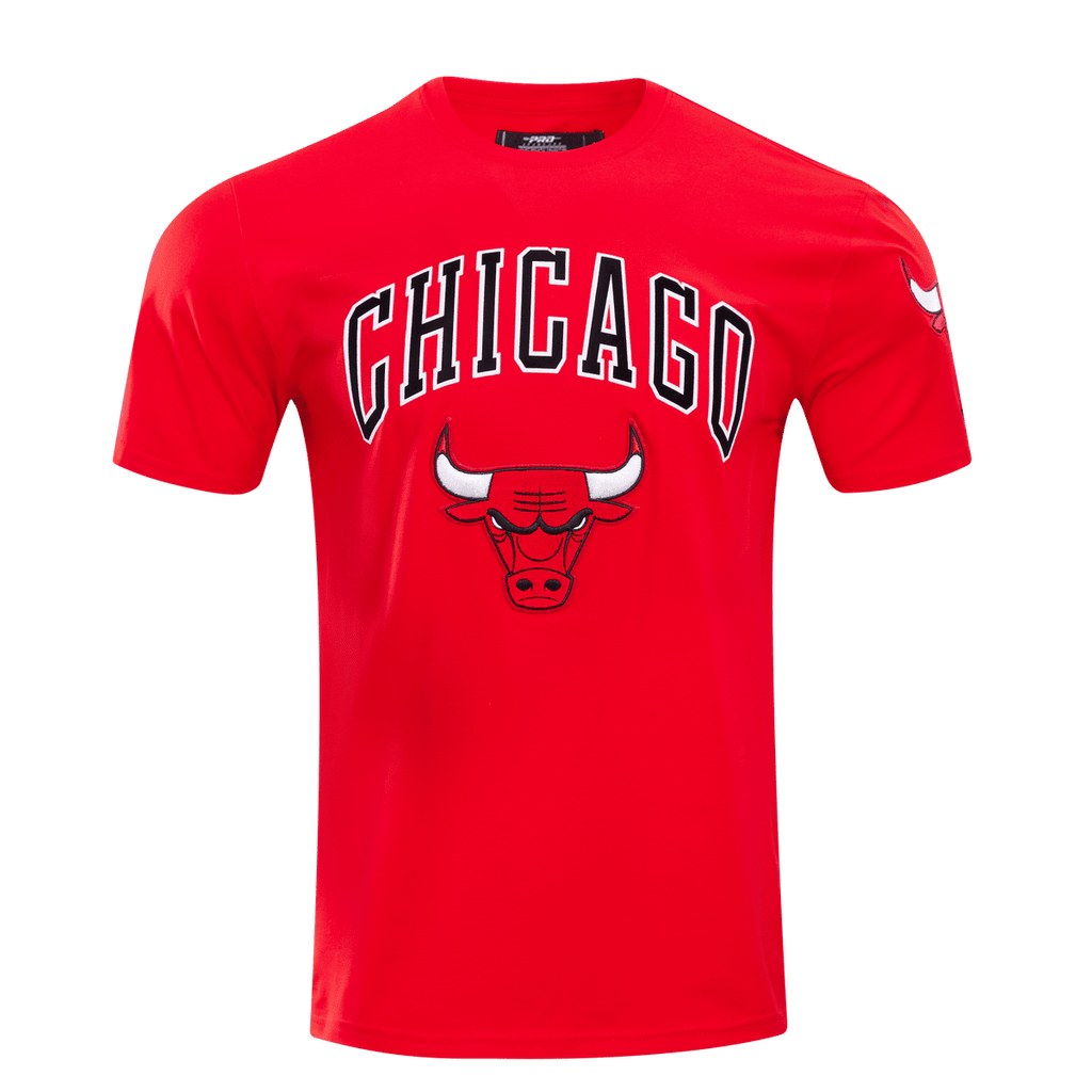 NBA CHICAGO BULLS CLASSIC BRISTLE MEN'S TEE (RED)