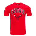 NBA CHICAGO BULLS CLASSIC BRISTLE MEN'S TEE (RED)