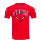 NBA CHICAGO BULLS CLASSIC BRISTLE MEN'S TEE (RED)