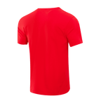 NBA CHICAGO BULLS CLASSIC BRISTLE MEN'S TEE (RED)