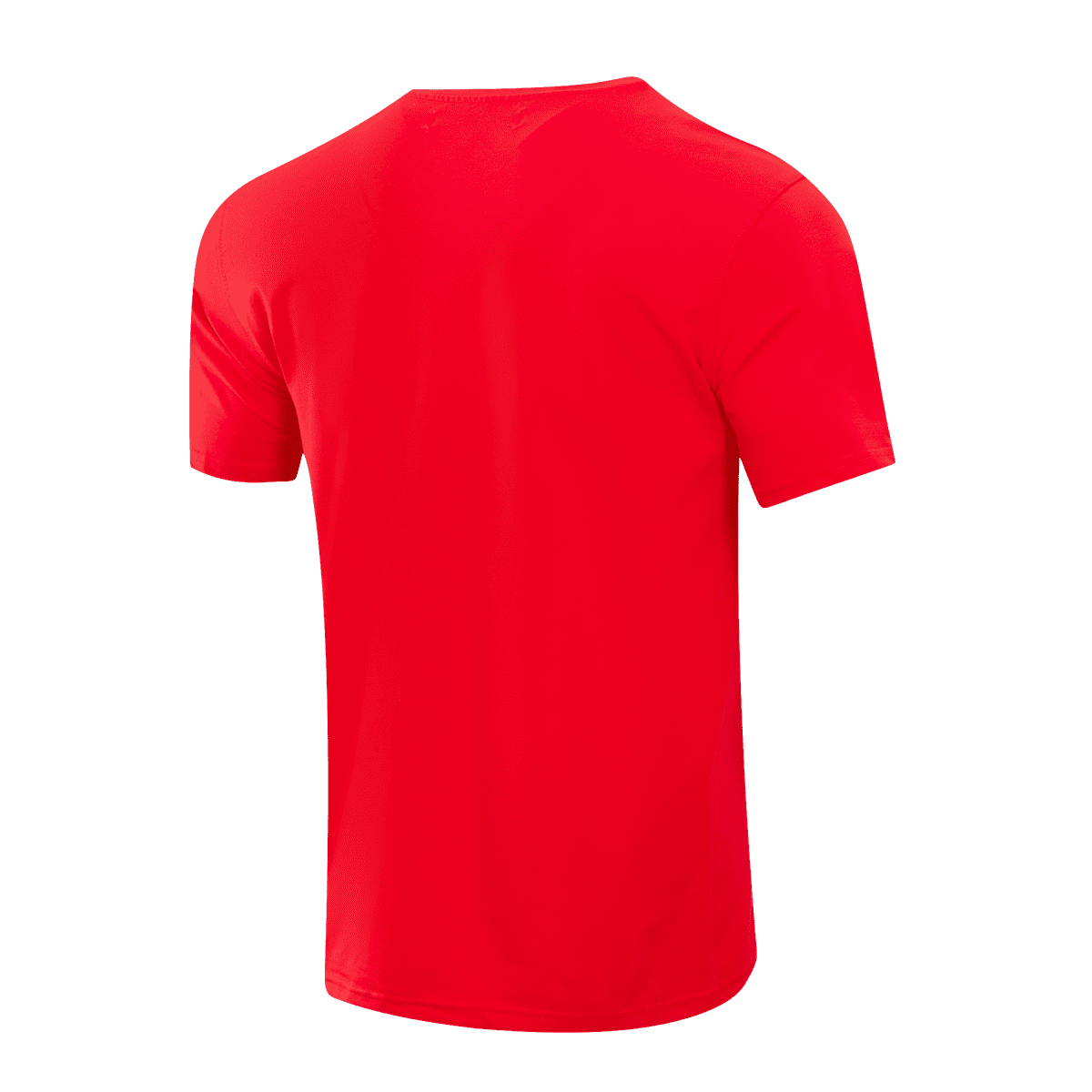 NBA CHICAGO BULLS CLASSIC BRISTLE MEN'S TEE (RED)