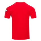 NBA CHICAGO BULLS CLASSIC BRISTLE MEN'S TEE (RED)