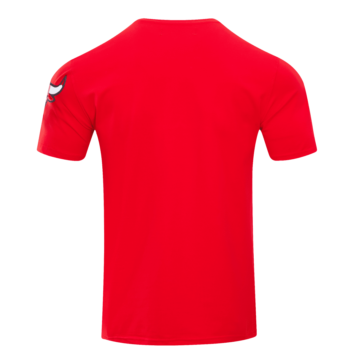 NBA CHICAGO BULLS CLASSIC BRISTLE MEN'S TEE (RED)