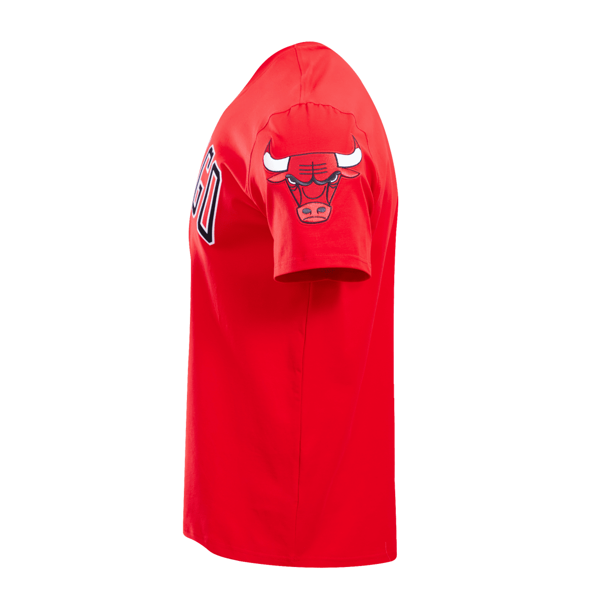 NBA CHICAGO BULLS CLASSIC BRISTLE MEN'S TEE (RED)