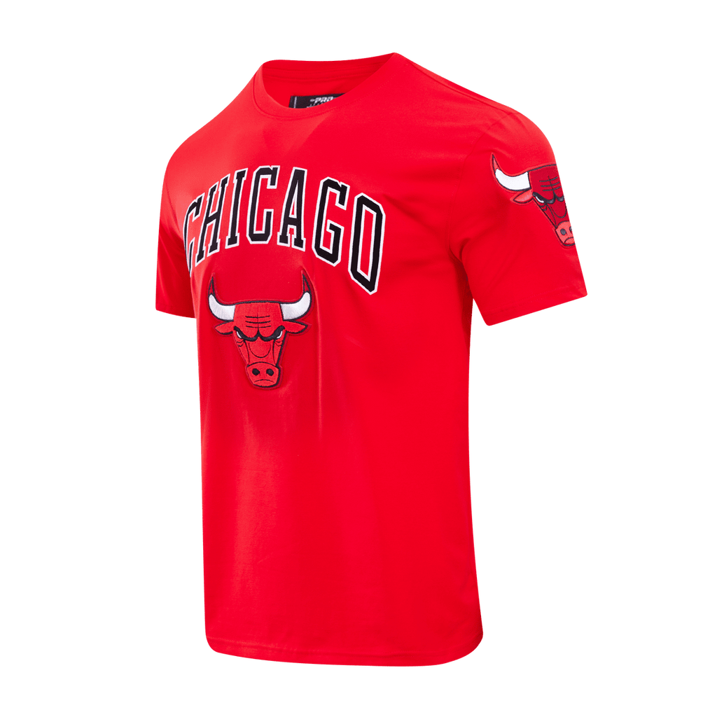 NBA CHICAGO BULLS CLASSIC BRISTLE MEN'S TEE (RED)