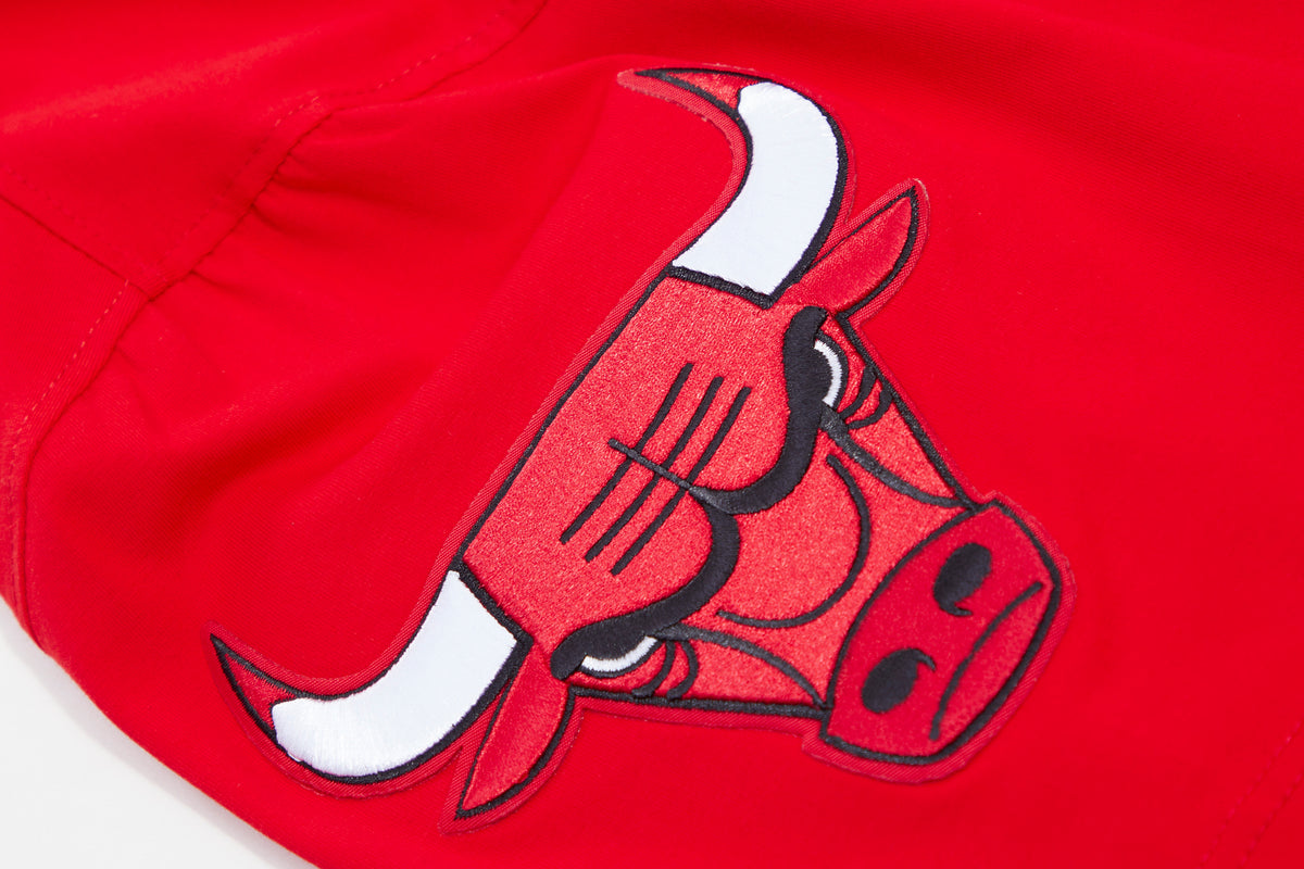 NBA CHICAGO BULLS CLASSIC BRISTLE MEN'S TEE (RED)