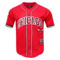 NBA CHICAGO BULLS LOGO MEN'S MESH BUTTON DOWN JERSEY (RED)