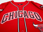 NBA CHICAGO BULLS LOGO MEN'S MESH BUTTON DOWN JERSEY (RED)