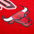 NBA CHICAGO BULLS LOGO MEN'S MESH BUTTON DOWN JERSEY (RED)