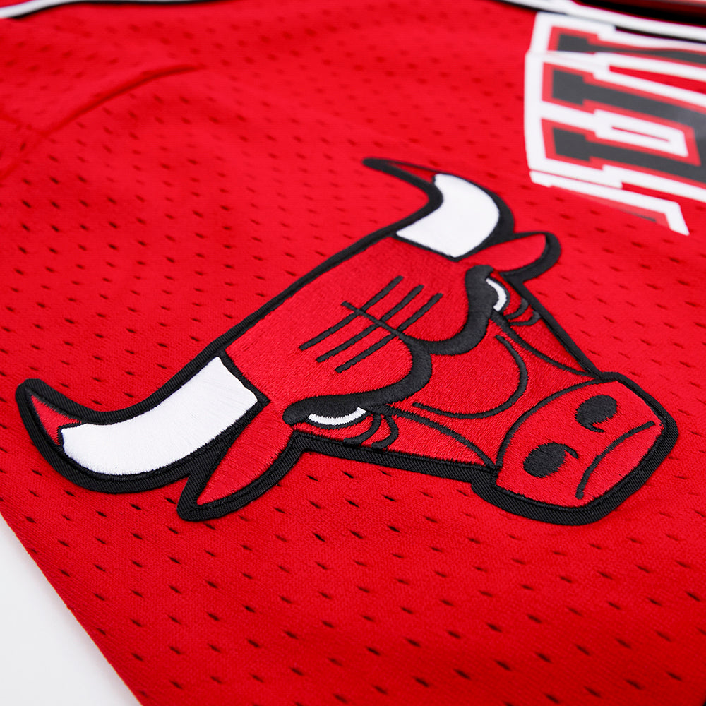 NBA CHICAGO BULLS LOGO MEN'S MESH BUTTON DOWN JERSEY (RED)