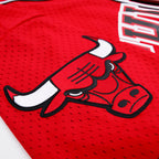 NBA CHICAGO BULLS LOGO MEN'S MESH BUTTON DOWN JERSEY (RED)