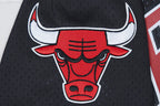 NBA CHICAGO BULLS TEAM MEN'S MESH BUTTON DOWN JERSEY (BLACK/RED)