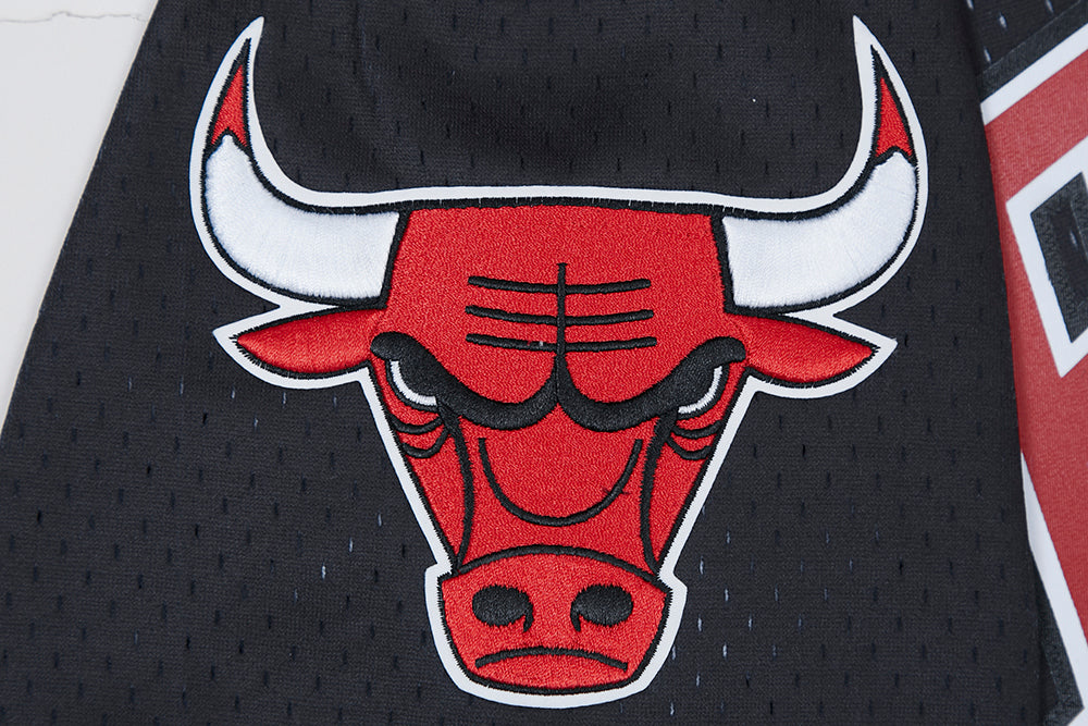 NBA CHICAGO BULLS TEAM MEN'S MESH BUTTON DOWN JERSEY (BLACK/RED)