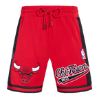 NBA CHICAGO BULLS SCRIPT TAIL MEN'S DOUBLE KNIT 2.0 SHORT (RED/BLACK)