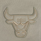 NBA CHICAGO BULLS NEUTRAL SHORT POUR HOMME (TAUPE)