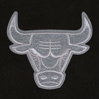 NBA CHICAGO BULLS REVERSE FRENCH TERRY CHANDAIL À CAPUCHON EN MOLLETON À BLOCS DE COULEUR POUR HOMME