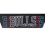NBA CHICAGO BULLS ECHO LOGO CHANDAIL À CAPUCHON EN MOLLETON POUR HOMME (NOIR)