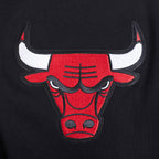 NBA CHICAGO BULLS ECHO LOGO CHANDAIL À CAPUCHON EN MOLLETON POUR HOMME (NOIR)