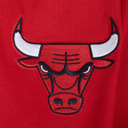 NBA CHICAGO BULLS SOUVENIR CHANDAIL À CAPUCHON EN MOLLETON POUR HOMME (ROUGE)
