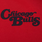 NBA CHICAGO BULLS SOUVENIR CHANDAIL À CAPUCHON EN MOLLETON POUR HOMME (ROUGE)